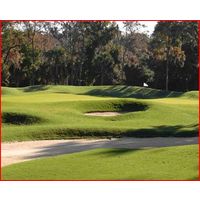 The Heron Point course at Sea Pines Resort tests golfers with undulating fairways and difficult greens. 